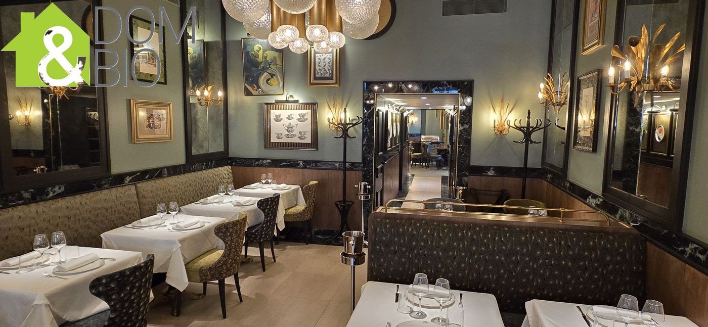 Un projet de caractère au cœur de Lyon : la brasserie Roseaux — visuel 5/8
