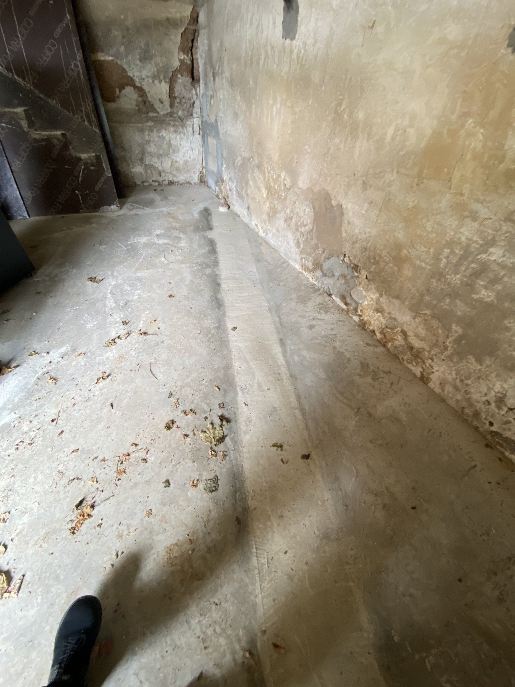 Avant — une pièce de la partie habitée, plafond et murs d'origine
